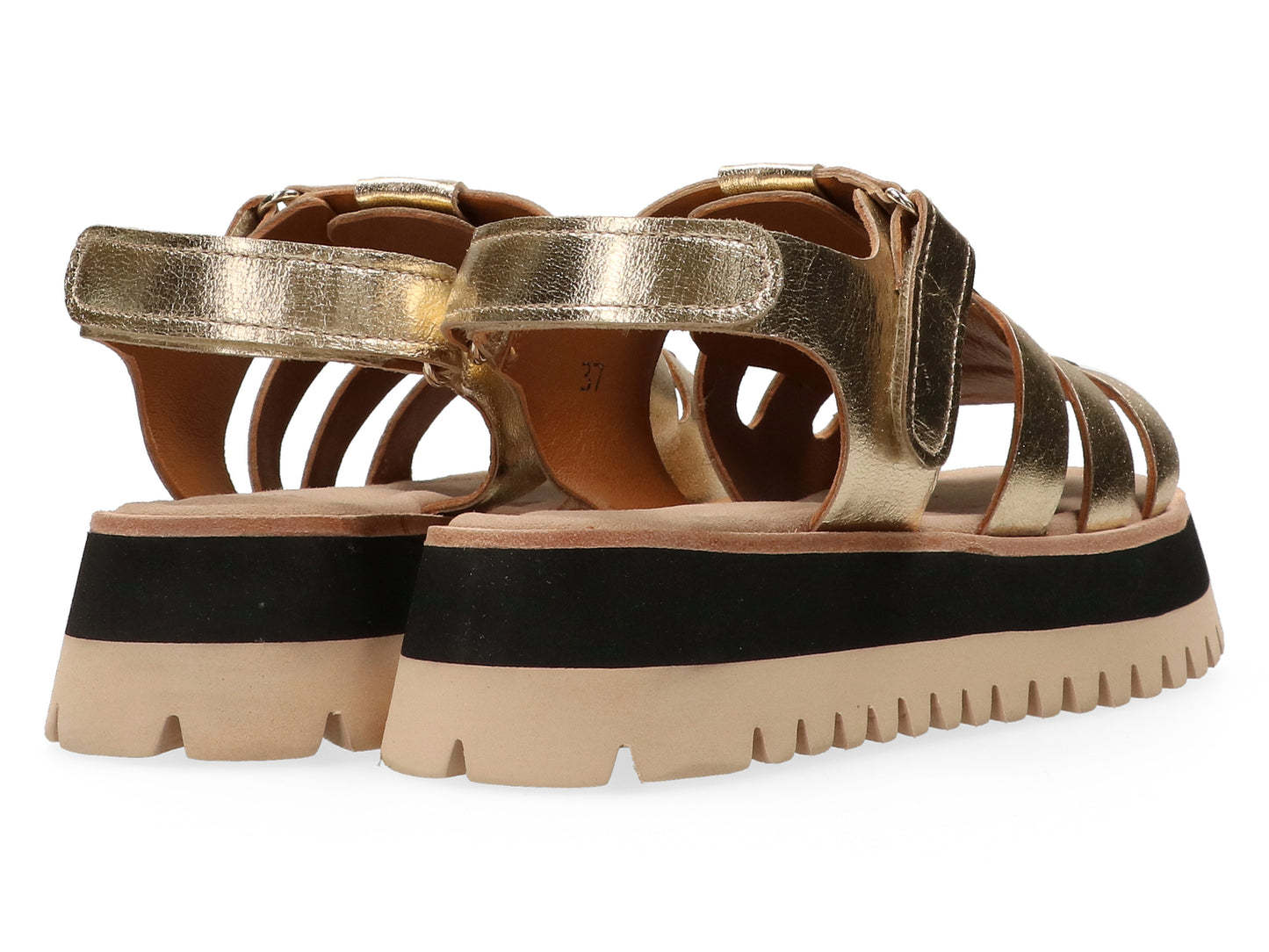 MARUTI "Logan Leather Sandal" ( Gold )